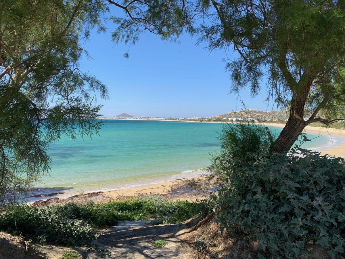 Villa Paradise In Naxos Pláka المظهر الخارجي الصورة