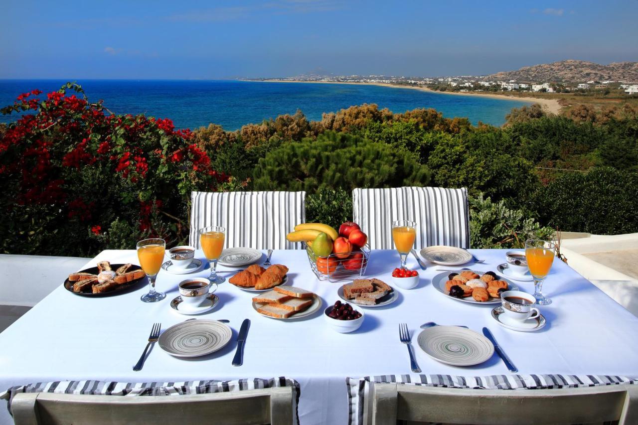Villa Paradise In Naxos Pláka المظهر الخارجي الصورة