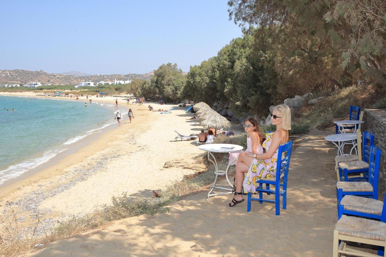 Villa Paradise In Naxos Pláka المظهر الخارجي الصورة
